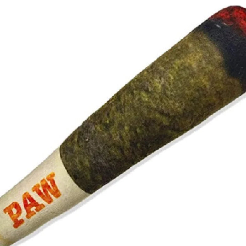 Indestructible Plush Dog Toy - Interactive Squeaky Cigar for Small Breeds and Chewing Enthusiasts