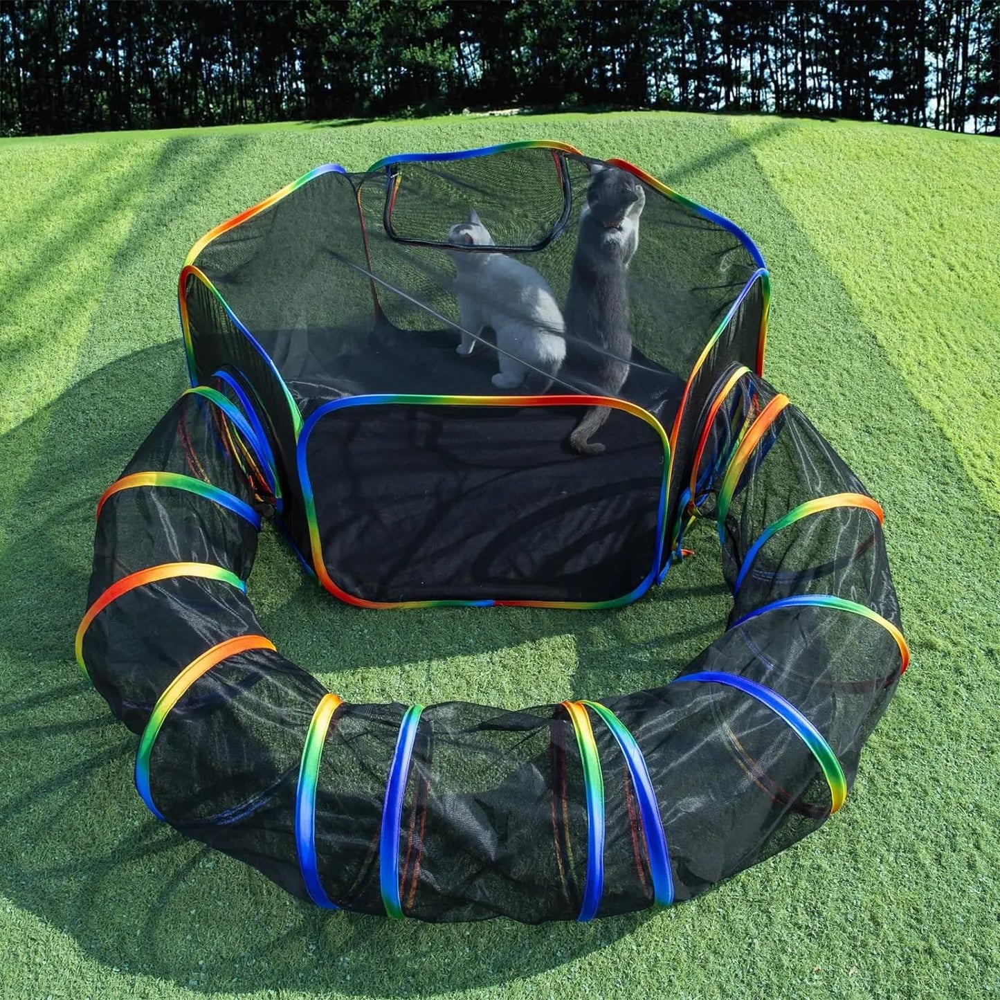 LUCKITTY Outdoor Rainbow Cat Enclosures Playground,Outside House for Indoor Cats Include Portable Cat Tent with Circle Cat Tunnel, for Cats, Kitty and Small Animals,Within Storage Bag Cage Kittens Enclosed